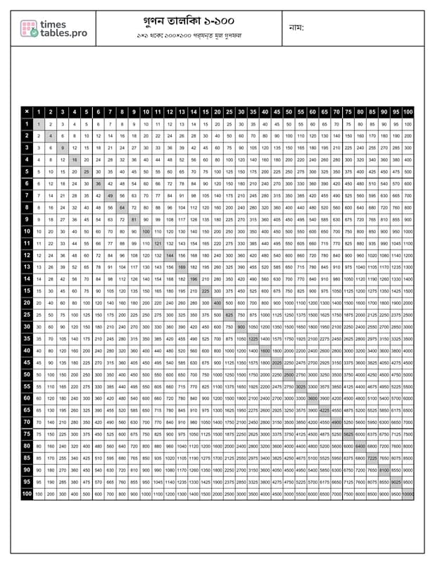 Multiplication Chart 1-100 Preview