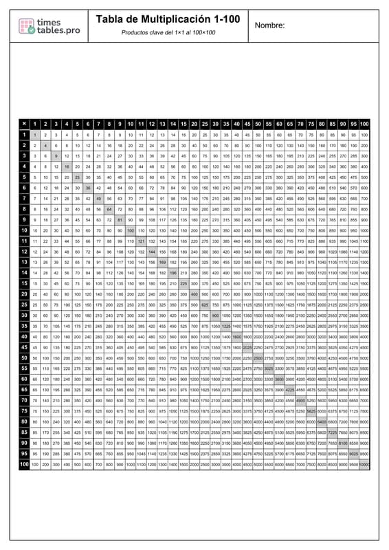 Multiplication Chart 1-100 Preview